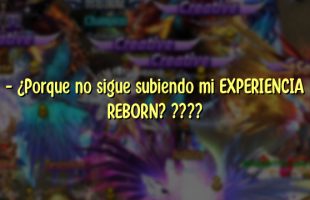 – ¿Porque no sigue subiendo mi EXPERIENCIA REBORN? ????