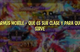 ARMUS MOBILE – QUE ES SUB CLASE Y PARA QUE SIRVE
