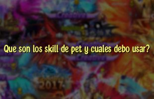 Que son los skill de pet y cuales debo usar?